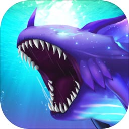 kok官方体育入口app