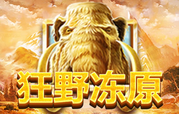55世纪app平台